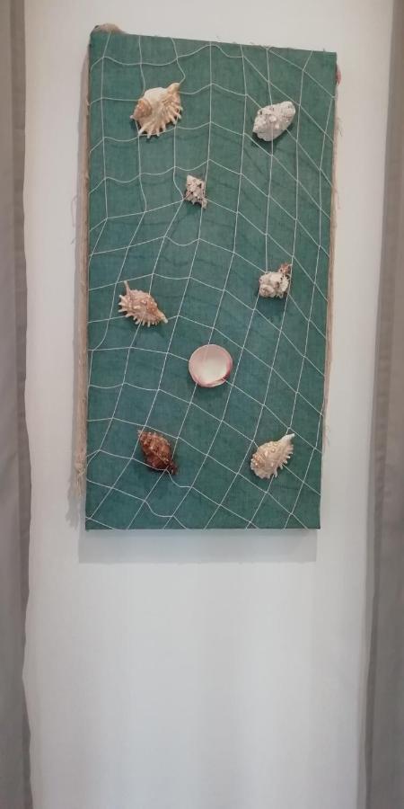 Seashell - *