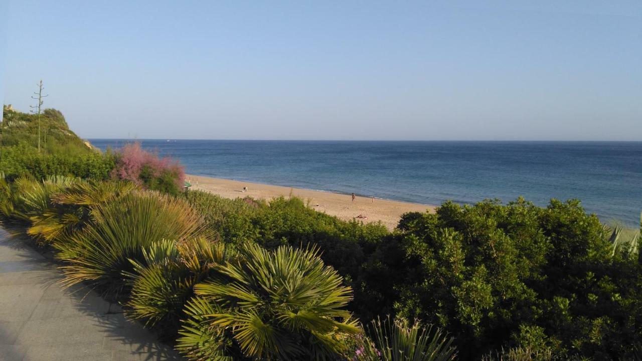 Seashell - * Sesimbra